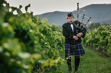 McLeish Estate man playing bagpipes in the vines